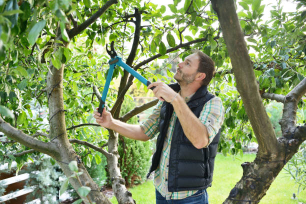 Best Tree Trimming Near Me  in Butler, OH